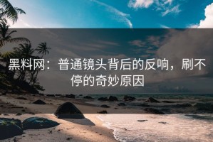 黑料网：普通镜头背后的反响，刷不停的奇妙原因