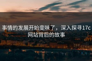 事情的发展开始变味了，深入探寻17c网站背后的故事