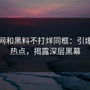 黑料网和黑料不打烊同框：引爆网络热点，揭露深层黑幕