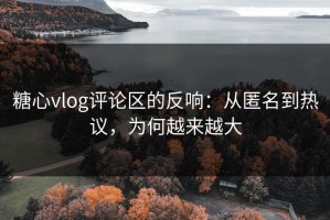 糖心vlog评论区的反响：从匿名到热议，为何越来越大
