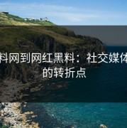 从黑料网到网红黑料：社交媒体讨论的转折点
