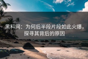 黑料网：为何后半段片段如此火爆，探寻其背后的原因