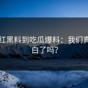 从网红黑料到吃瓜爆料：我们真的明白了吗？