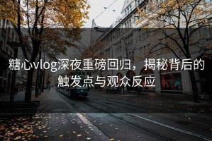 糖心vlog深夜重磅回归，揭秘背后的触发点与观众反应