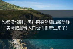 谁都没想到，黑料网突然翻出新动静，实际把黑料入口也悄悄带进来了！
