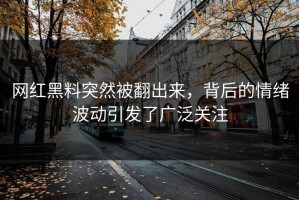 网红黑料突然被翻出来，背后的情绪波动引发了广泛关注