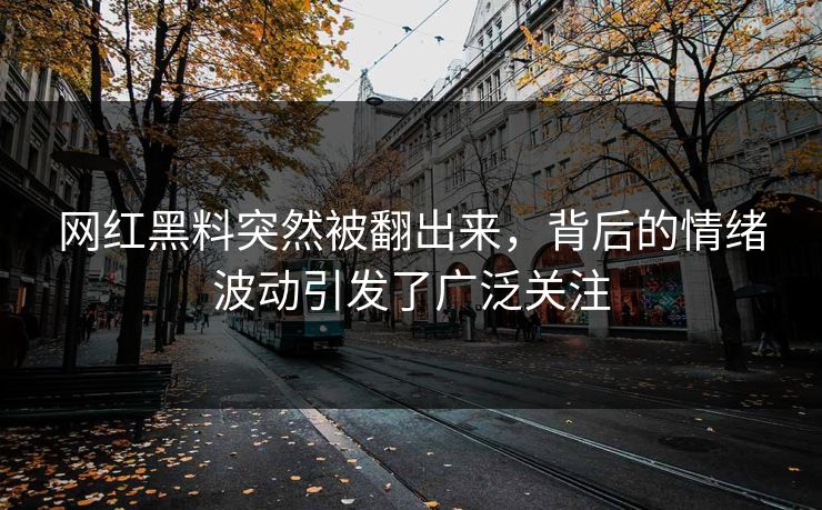网红黑料突然被翻出来，背后的情绪波动引发了广泛关注