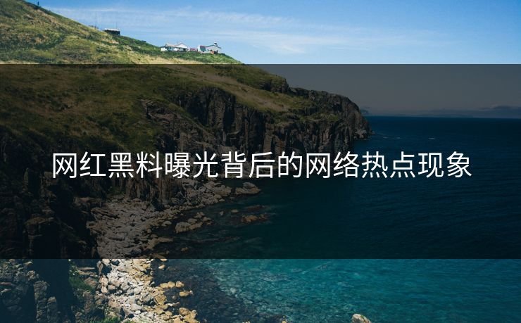 网红黑料曝光背后的网络热点现象
