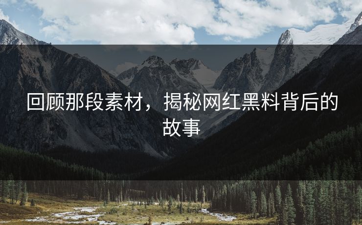 回顾那段素材，揭秘网红黑料背后的故事