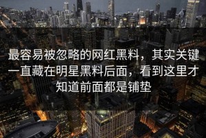 最容易被忽略的网红黑料，其实关键一直藏在明星黑料后面，看到这里才知道前面都是铺垫