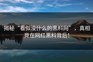 揭秘“看似没什么的黑料网”，真相竟在网红黑料背后！