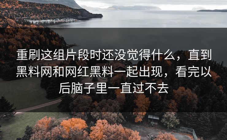 重刷这组片段时还没觉得什么,直到黑料网和网红黑料一起出现,看完以后脑子里一直过不去 重刷这组片段时还没觉得什么,直到黑料网和网红黑料一起出现,看完以后脑子里一直过不去