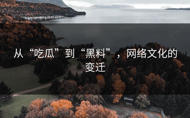 从“吃瓜”到“黑料”，网络文化的变迁
