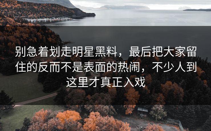 别急着划走明星黑料，最后把大家留住的反而不是表面的热闹，不少人到这里才真正入戏